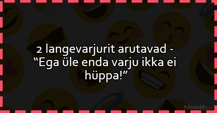 2 langevarjurit arutavad