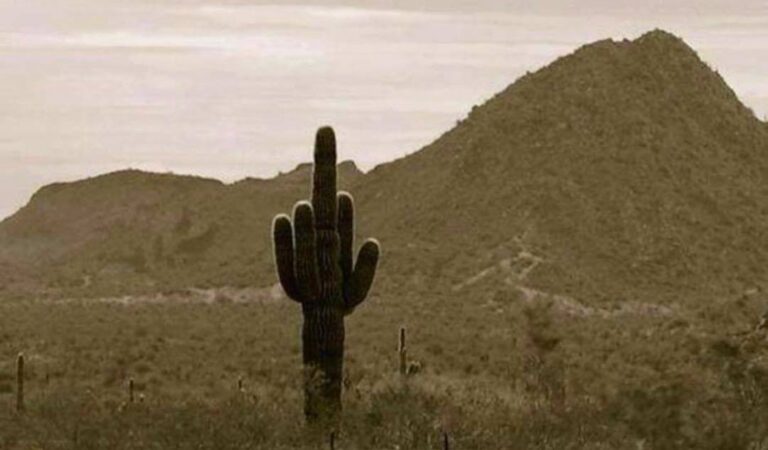 Kui loodusel on asjast oma arvamus