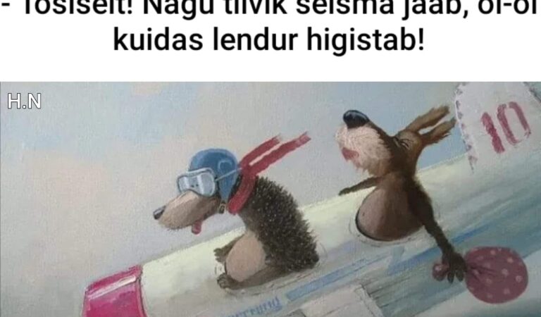 Miks on lennukil tiivik?