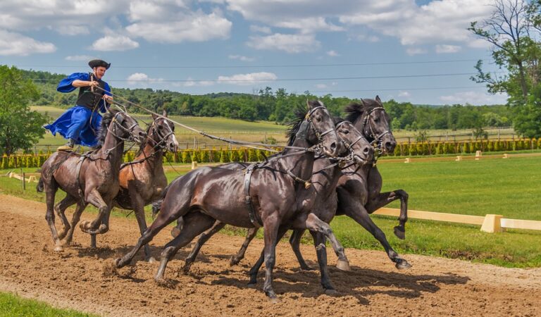 Mulgi vanasõna ütleb, et “kui oled hobuse surnuks ajanud, siis roni selle seljast maha.”