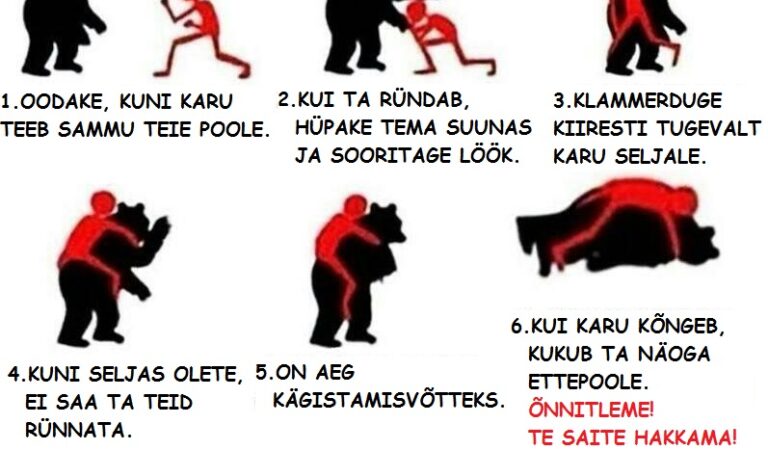 Mida teha juhul, kui te kohtute karuga