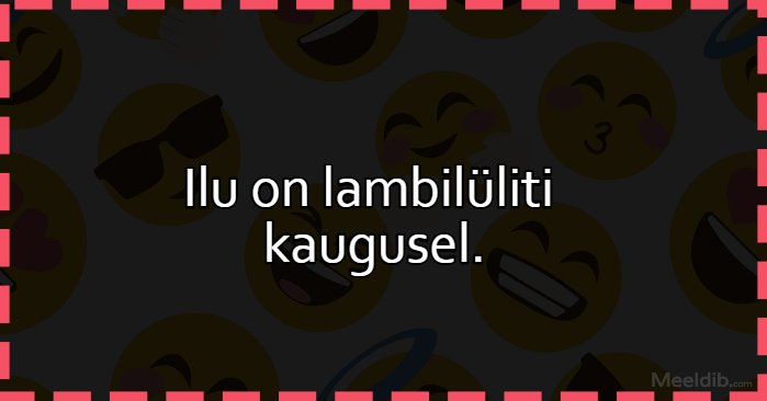 Ilu on lambilüliti kaugusel