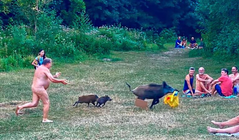 Berliinis pani metssiga nudisti sülearvuti pihta