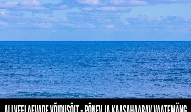 Alveelaevade võidusõit