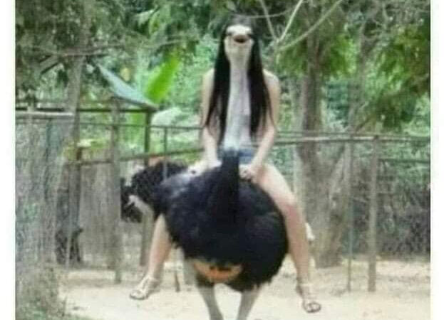 Naine palus pildistada