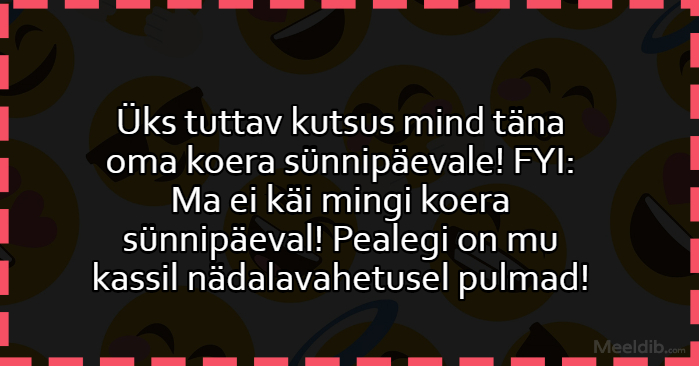 Üks tuttav kutsus mind täna oma koera sünnipäevale!