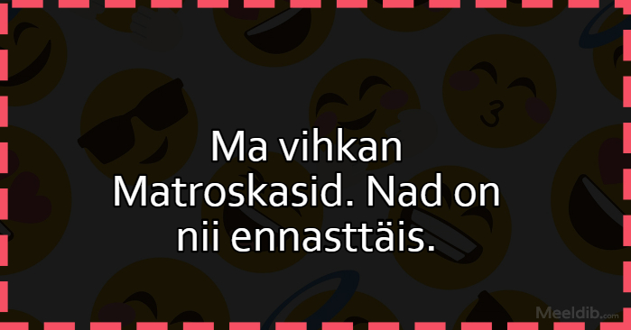 Ma vihkan Matroskasid