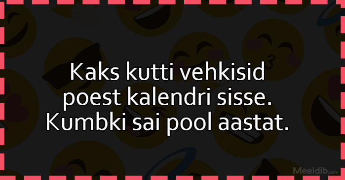 Kaks kutti vehkisid poest kalendri sisse