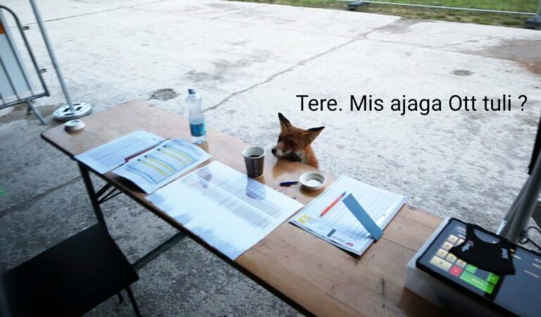 Tere!