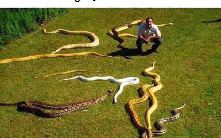 Margus ja naabrinaised