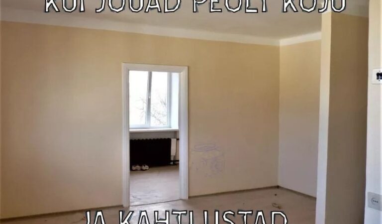 Kui jõuad peolt koju