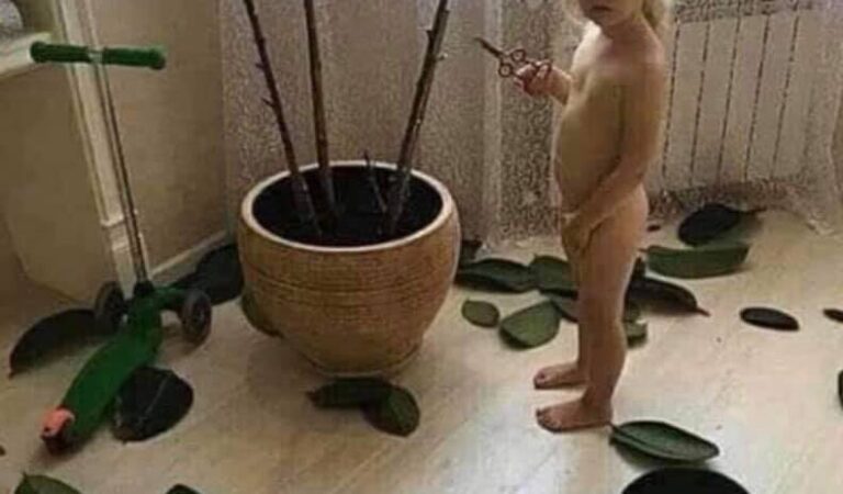 Kõik… sügis on käes!