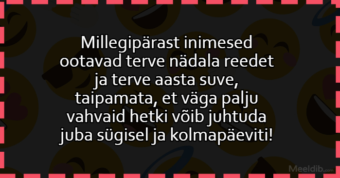 Millegipärast inimesed ootavad terve nädala reedet ja terve aasta suve