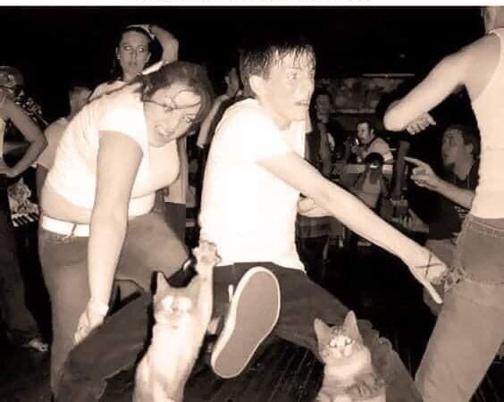 Tundub tõesti lõbus pidu