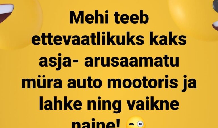 Mehi teeb ettevaatlikuks kaks asja