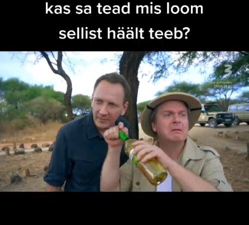 Napsitrallid Aafrikas