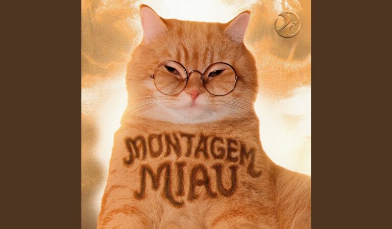 Montagem Miau