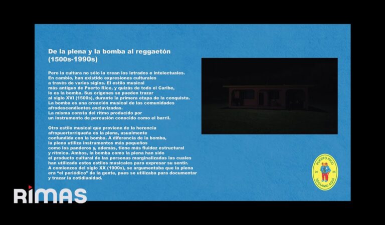 BAD BUNNY – DtMF (Visualizer) | DeBÍ TiRAR MáS FOToS