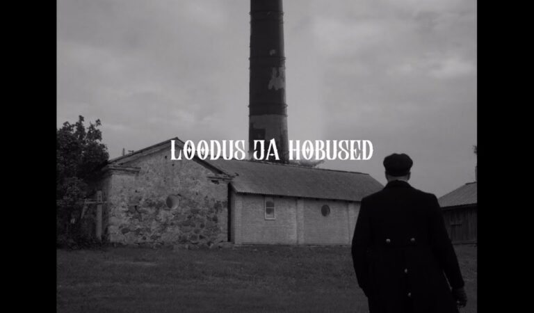 5MIINUST x HENDRIK SAL-SALLER – loodus ja hobused