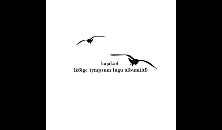säm – kajakad (eelviimane klubikas, mille ma kunagi teen)